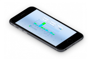 IW-MANAGER-21